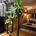 Baranówka - Komfortowe I Z Balia, Sauną, Widokiem I Ogrodem Jedlina-Zdroj