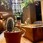 Baranówka - Komfortowe I Z Balia, Sauną, Widokiem I Ogrodem * Jedlina-Zdroj