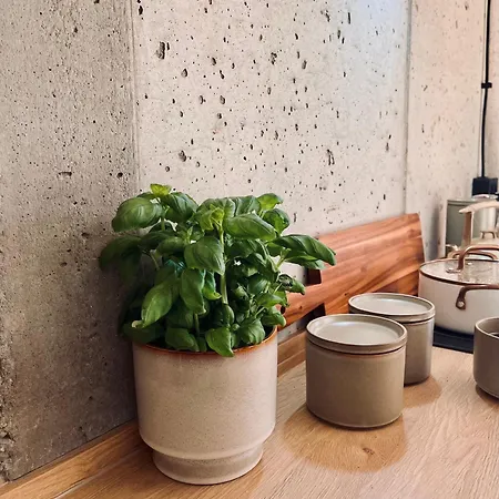 Baranowka - Komfortowe I Z Balia, Sauna, Widokiem I Ogrodem *