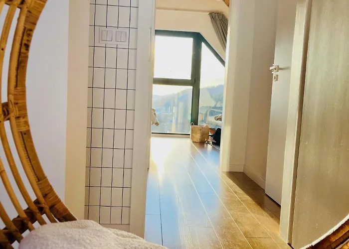 Casa de Férias Baranówka - komfortowe domki i apartamenty z balia, sauną, widokiem i ogrodem *