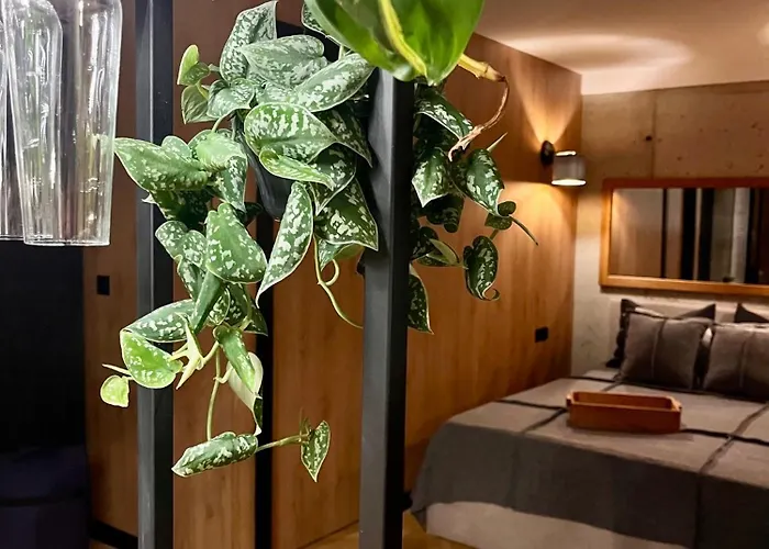 Baranowka - Komfortowe I Z Balia, Sauna, Widokiem I Ogrodem Jedlina-Zdroj