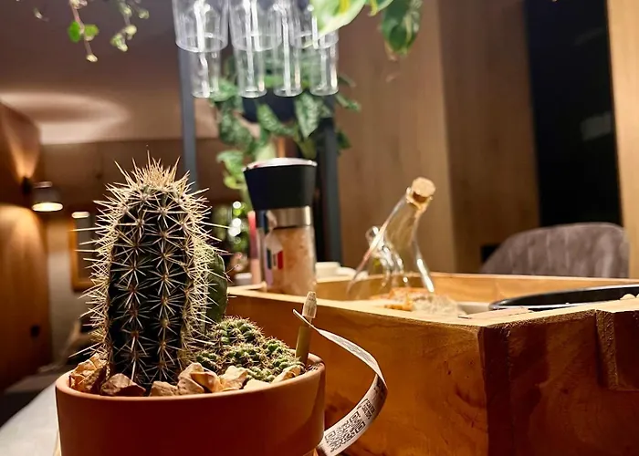 Baranowka - Komfortowe I Z Balia, Sauna, Widokiem I Ogrodem * Jedlina-Zdroj