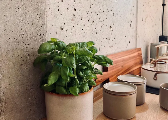 Baranowka - Komfortowe I Z Balia, Sauna, Widokiem I Ogrodem *